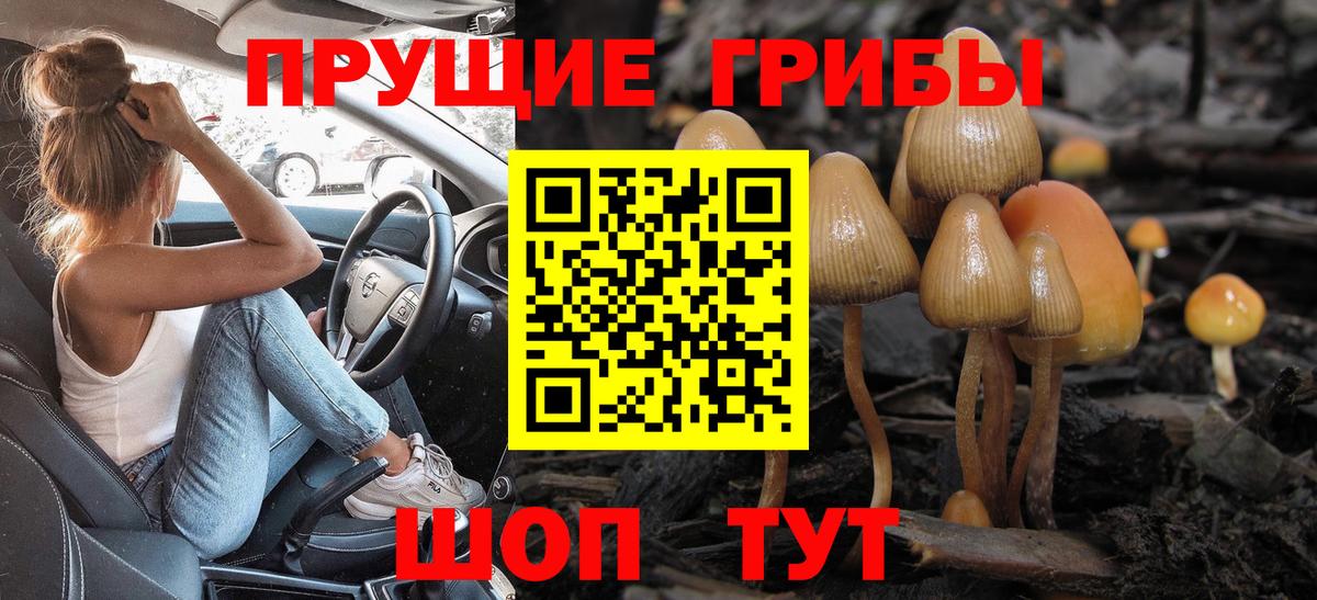 Архангельск  Галлюциногенные грибы Psilocybe  Псилоцибиновые грибы прущие грибы  Вход с VPN 